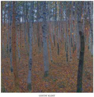 Gustav Klimt - Faggeto Kunstdruk 70x70cm