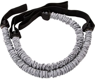 Gym Trainer Ab Roller Training Thuis Fitness Dubbele Wiel Stabiele Abdominale Power Wiel Buik Spier Oefening Apparatuur Paars