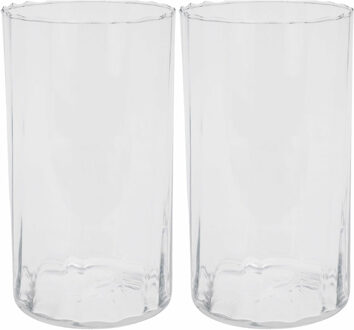 H&S Collection Bloemen vaas 2x stuks transparant - glas - H22 cm - Vazen