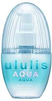 H2o ululis Aqua Water Conc Moisture Hair Oil 100ml