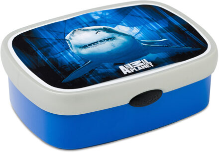 Haai Lunchbox