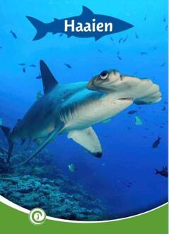 Haaien -  Geert-Jan Roebers (ISBN: 9789464390827)