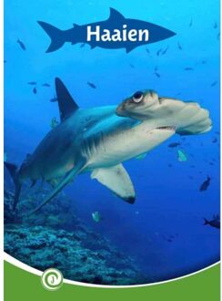 Haaien - Junior Informatie - Geert-Jan Roebers