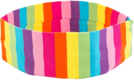 haarband regenboog