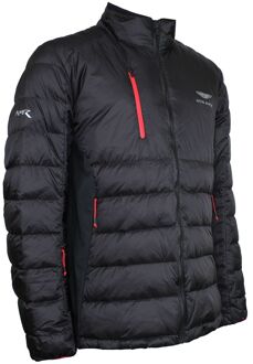 Hackett Aston Martin Apex Heren Zwart Motojack