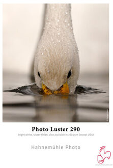 Hahnemühle AR-10643151