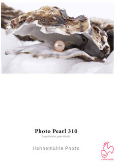 Hahnemühle AR-10643223