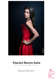 Hahnemühle P14308/25