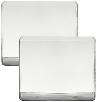 Hakbijl glass accubak vaas - Set van 2x stuks - van glas - 25 x 18 x 20 cm - rechthoekig - terrarium