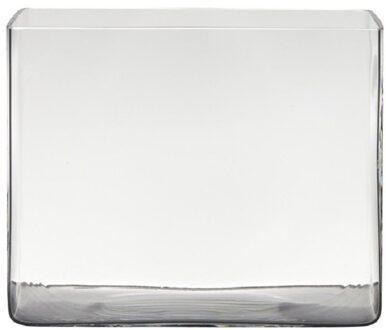 Hakbijl glass accubak vaas - van glas - 25 x 18 x 20 cm - rechthoekig - terrarium vazen