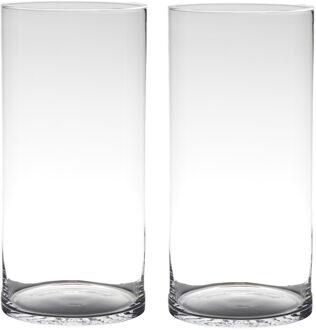 Hakbijl Glass Bloemenvaas - Set van 2x stuks - cilinder - glas - helder transparant - D19 x H40 cm