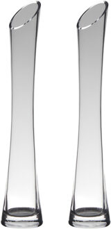 Hakbijl glass bloemenvaas - Set van 2x stuks - transparant - D7 x H35 cm - glas