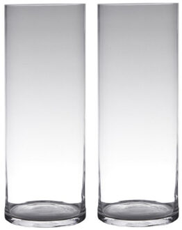 Hakbijl glass bloemenvaas - Set van 2x stuks - Transparant - glas - 19 x 60 cm - Cilinder vormig