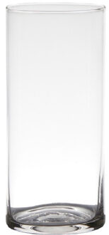 Hakbijl glass Bloemenvaas - Transparant - cilinder - glas - D9 x H19 cm