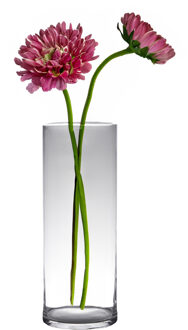 Hakbijl glass bloemenvaas - Transparant - glas - D19 x H60 cm - Cilinder vormig - Vazen