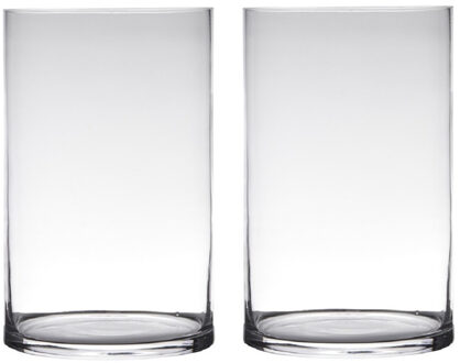 Hakbijl Glass cilinder Bloemenvaas - Set van 2x stuks - glas - transparant - D19 x H25 cm - Bloemen/