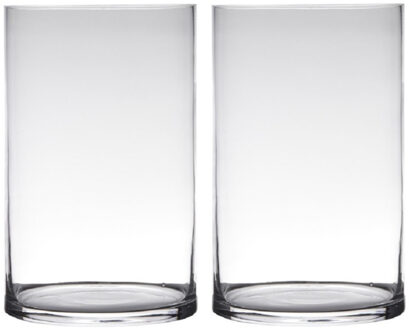 Hakbijl Glass cilinder Bloemenvaas - Set van 2x stuks - glas - transparant - D19 x H40 cm - Bloemen/