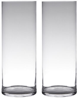 Hakbijl Glass cilinder Bloemenvaas - Set van 2x stuks - glas - transparant - D19 x H50 cm - Bloemen/