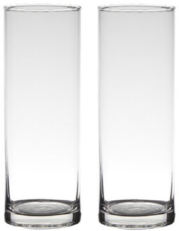 Hakbijl Glass Cilinder Design Bloemenvaas - 2x - transparant - glas - 9 x 24 cm - boeketten/bloemen/