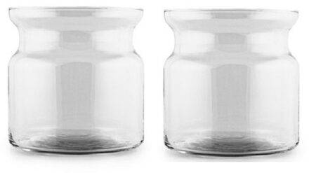 Hakbijl glass Set van 2x stuks transparante home-basics vaas/vazen van glas 19 x 19 cm Brenda - Vazen