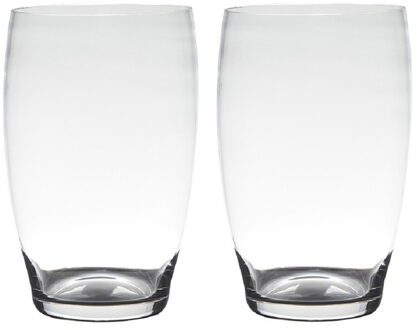 Hakbijl glass Set van 2x stuks transparante home-basics vaas/vazen van glas 20 x 15 cm Naomi