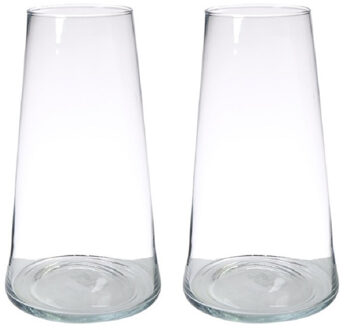 Hakbijl glass Set van 2x stuks transparante home-basics vaas/vazen van glas 35 x 18 cm Donna - Vazen