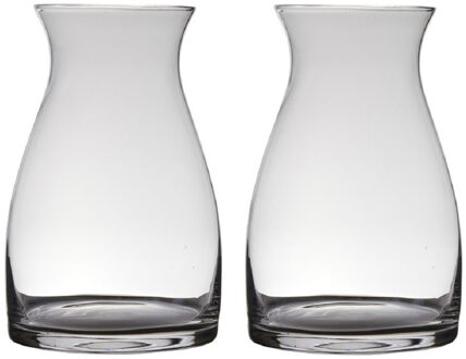 Hakbijl glass Set van 2x stuks transparante home-basics vaas/vazen van glas 38 x 26 cm Julia