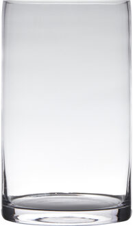 Hakbijl glass Transparante home-basics cilinder vorm vaas/vazen van glas 25 x 15 cm