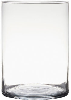 Hakbijl glass Transparante home-basics cilinder vorm vaas/vazen van glas 25 x 18 cm - Vazen