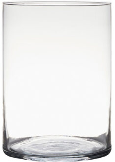 Hakbijl glass Transparante home-basics cilinder vorm vaas/vazen van glas 25 x 18 cm