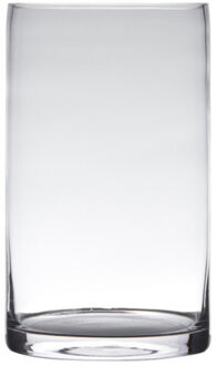 Hakbijl glass Transparante home-basics cilinder vorm vaas/vazen van glas 40 x 15 cm