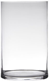 Hakbijl glass Transparante home-basics cilinder vorm vaas|vazen van glas 40 x 19 cm