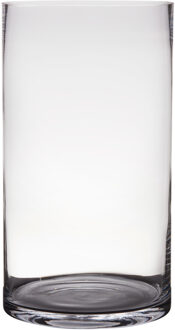 Hakbijl glass Transparante home-basics cylinder vaas/vazen van glas 40 x 25 cm