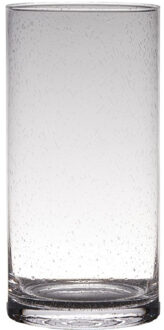 Hakbijl glass Transparante home-basics cylinder vorm vaas/vazen van bubbel glas 30 x 15 cm