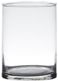 Hakbijl glass Transparante home-basics cylinder vorm vaas/vazen van glas 15 x 12 cm - Vazen