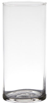 Hakbijl glass Transparante home-basics cylinder vorm vaas/vazen van glas 19 x 9 cm