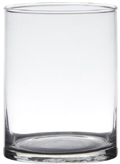 Hakbijl glass Transparante home-basics cylinder vorm vaas/vazen van glas 20 x 12 cm