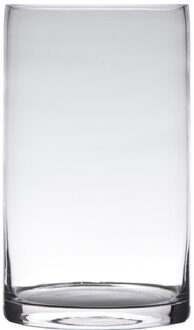 Hakbijl glass Transparante home-basics cylinder vorm vaas/vazen van glas 20 x 15 cm
