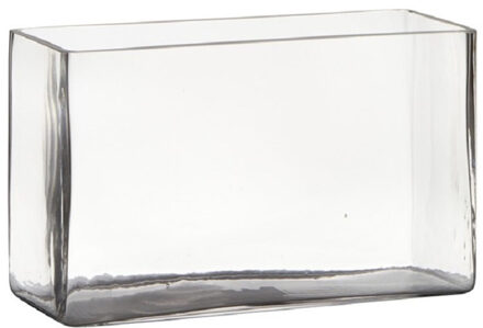 Hakbijl glass Transparante rechthoek accubak vaas/vazen van glas 25 x 10 x 15 cm