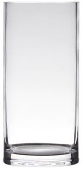 Hakbijl glass Vaas - cilinder - glas - 12 x 40 cm Transparant