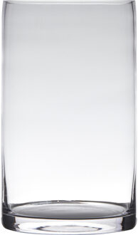 Hakbijl glass Vaas - cilinder - glas - 15 x 25 cm Transparant