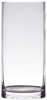 Hakbijl glass Vaas - cilinder vorm - transparant - 40 x 12 cm - home-basics vazen