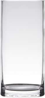Hakbijl glass Vaas Home Basics - cilinder - glas - 12 x 35 cm Transparant
