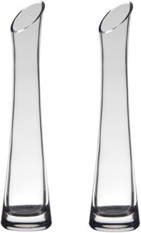 Hakbijl Glass vaas - Set van 2x stuks - 25 x 6 cm - flute model - transparant - bloemenvaas