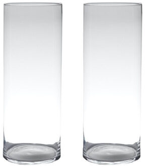 Hakbijl Glass Vaas - Set van 2x stuks - cilinder - glas - helder - 60 x 19 cm - bloemenvaas
