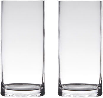 Hakbijl Glass Vaas - Set van 2x stuks - cilinder - glas - transparant - 15 x 35 cm - vazen