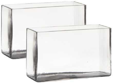 Hakbijl glass Vaas - Set van 2x stuks - transparant - rechthoek - glas - 25 x 10 x 15 cm - Bloemstuk