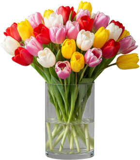 Hakbijl glass Vaas - transparant - 15 x 12 cm - glas - cilinder vorm - vazen - bloemenvaas