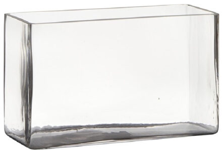 Hakbijl glass Vaas - transparant - rechthoek - glas - 25 x 10 x 15 cm