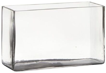 Hakbijl glass Vaas - transparant - rechthoek - glas - 25 x 10 x 15 cm